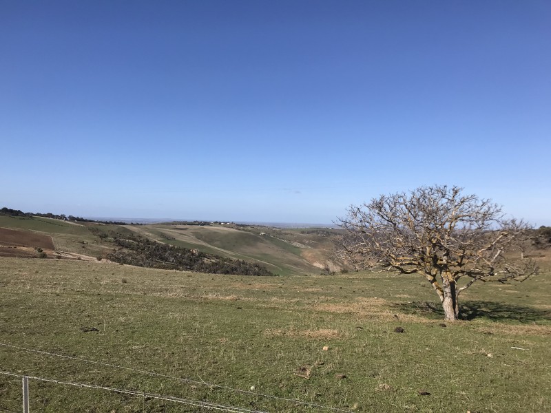 70 Dunbar Road, Pentland Hills VIC 3341