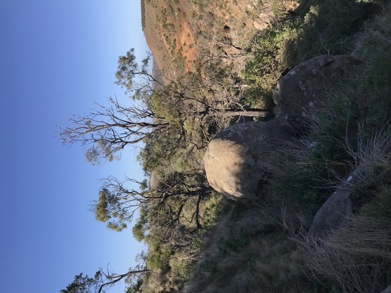 70 Dunbar Road, Pentland Hills VIC 3341