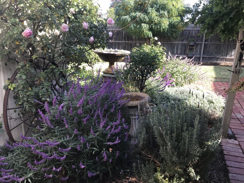 65 Dickson Street, Bacchus Marsh VIC 3340