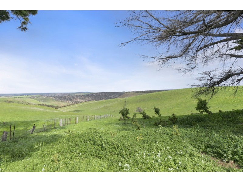 35 Dunbar Road, Pentland Hills VIC 3341