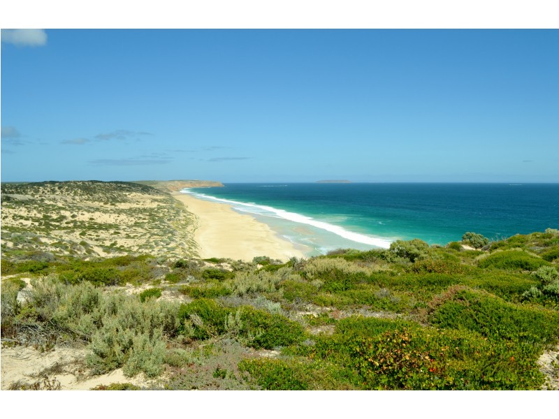 30 Shearwater Cresent, Marion Bay SA 5575