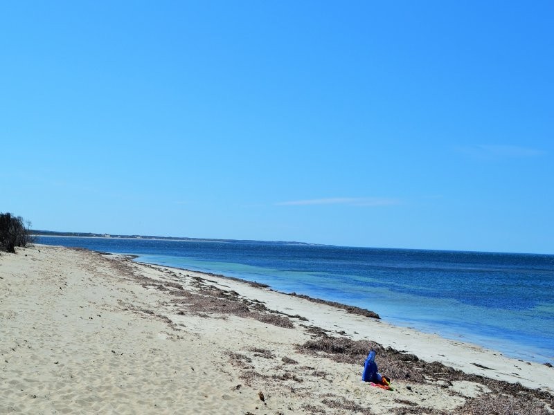 Lot 45, 31 Peregrine Drive, Marion Bay SA 5575