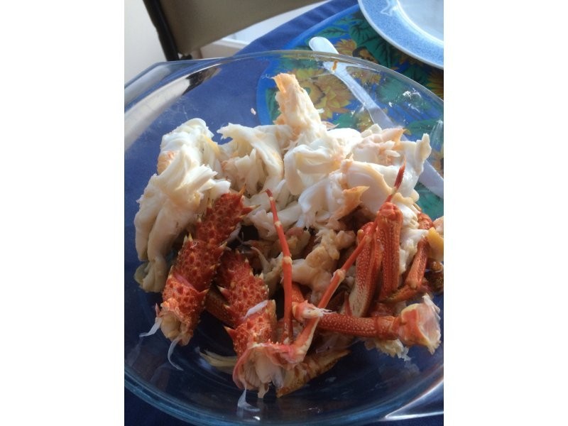 Lot 28, 4 Peregrine Drive, Marion Bay SA 5575