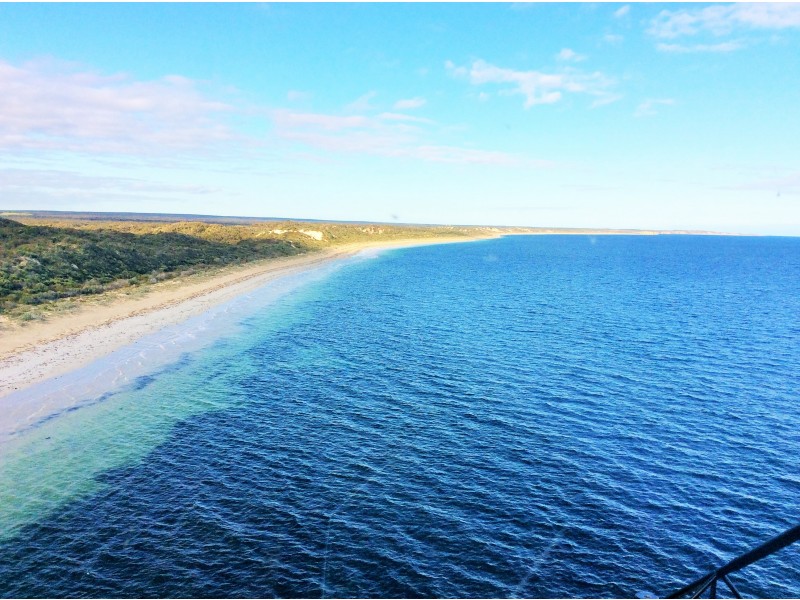 Lot 49,  Peregrine Drive, Marion Bay SA 5575