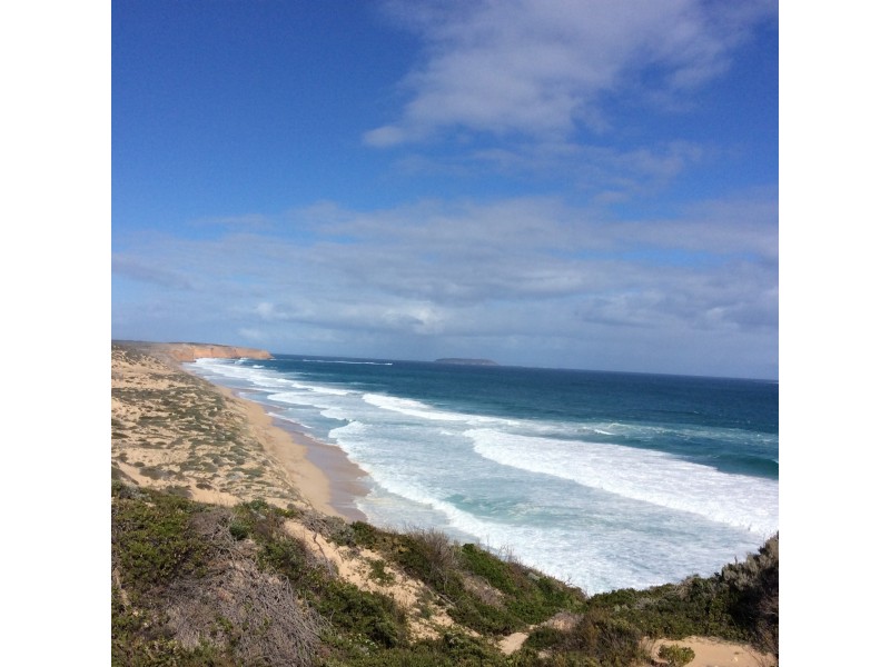 Lot 53, 11 Dolphin Drive, Marion Bay SA 5575