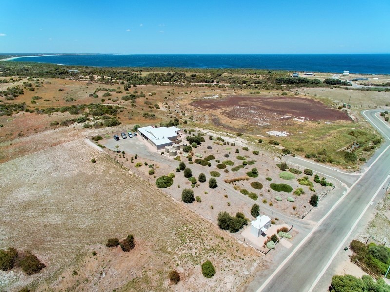 20 Peregrine Drive, Marion Bay SA 5575