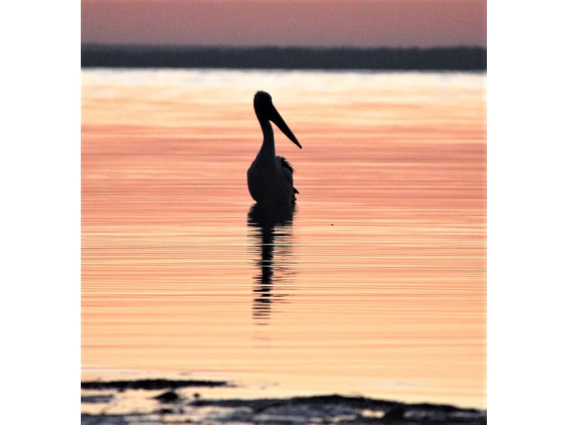 56a Esplanade, Point Turton SA 5575