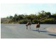 Lot 44, 29 Peregrine Drive, Marion Bay SA 5575