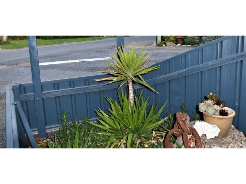 38 Slow Street, Marion Bay SA 5575