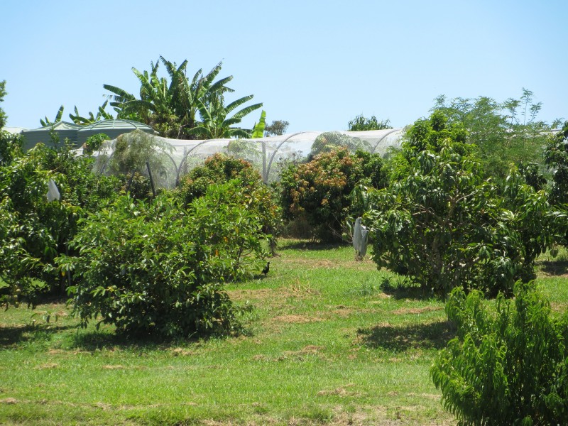 95 Smiths Lane, North Casino NSW 2470