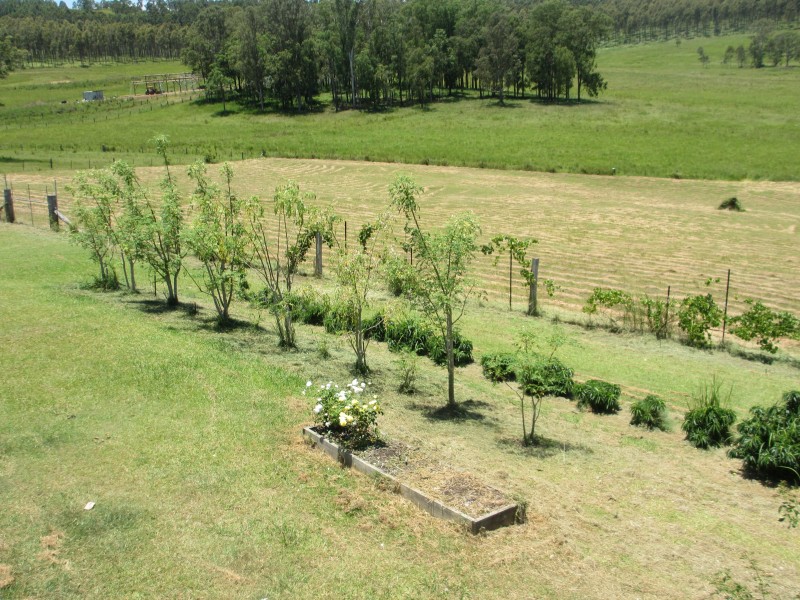 95 Smiths Lane, North Casino NSW 2470