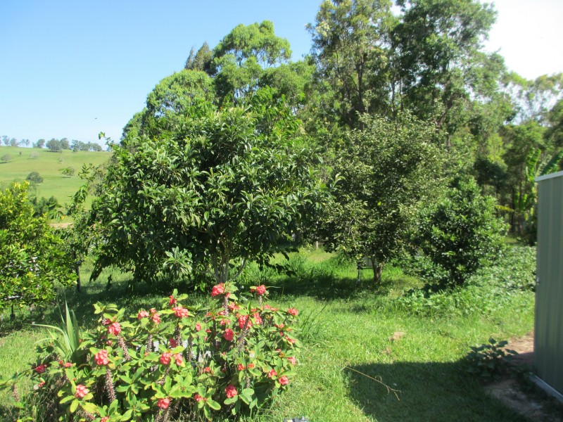 95 Smiths Lane, North Casino NSW 2470