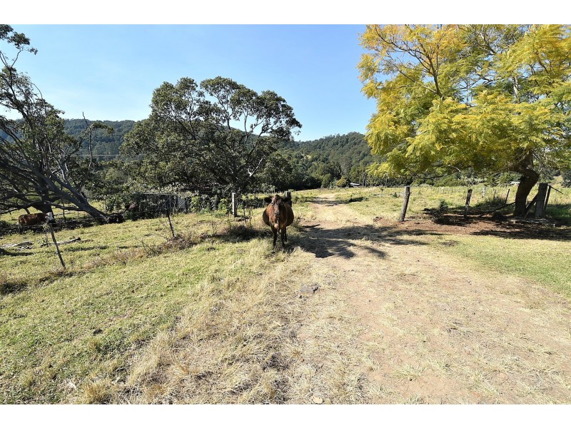 537 Tuntable Creek Road, Tuntable Creek NSW 2480
