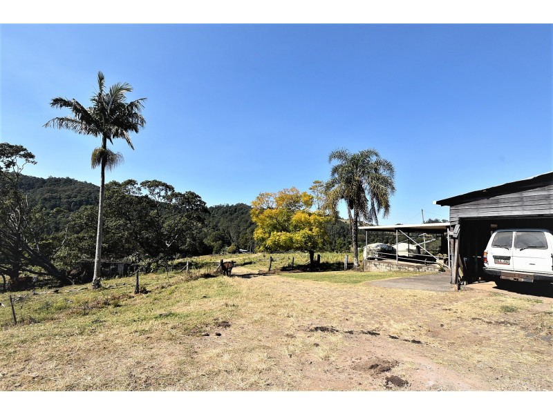 537 Tuntable Creek Road, Tuntable Creek NSW 2480