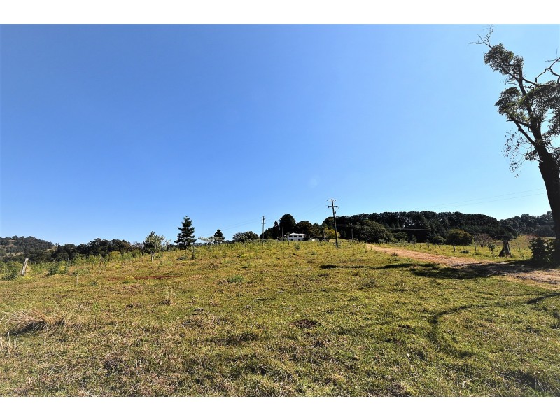 537 Tuntable Creek Road, Tuntable Creek NSW 2480