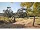 537 Tuntable Creek Road, Tuntable Creek NSW 2480