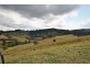 537 Tuntable Creek Road, Tuntable Creek NSW 2480
