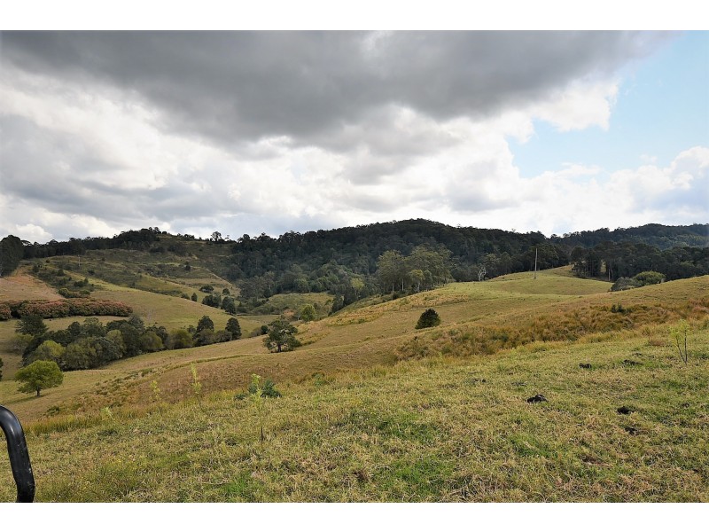 537 Tuntable Creek Road, Tuntable Creek NSW 2480