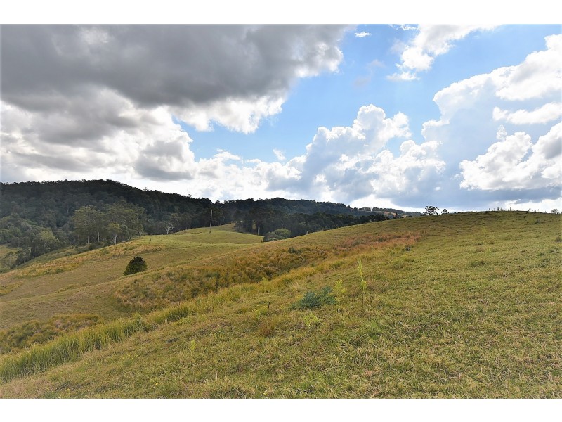 537 Tuntable Creek Road, Tuntable Creek NSW 2480