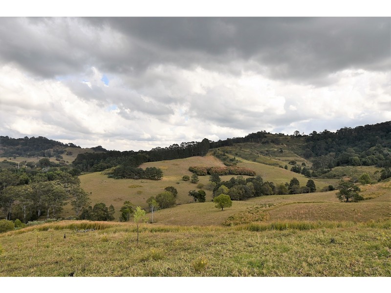 537 Tuntable Creek Road, Tuntable Creek NSW 2480