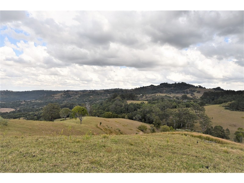 537 Tuntable Creek Road, Tuntable Creek NSW 2480