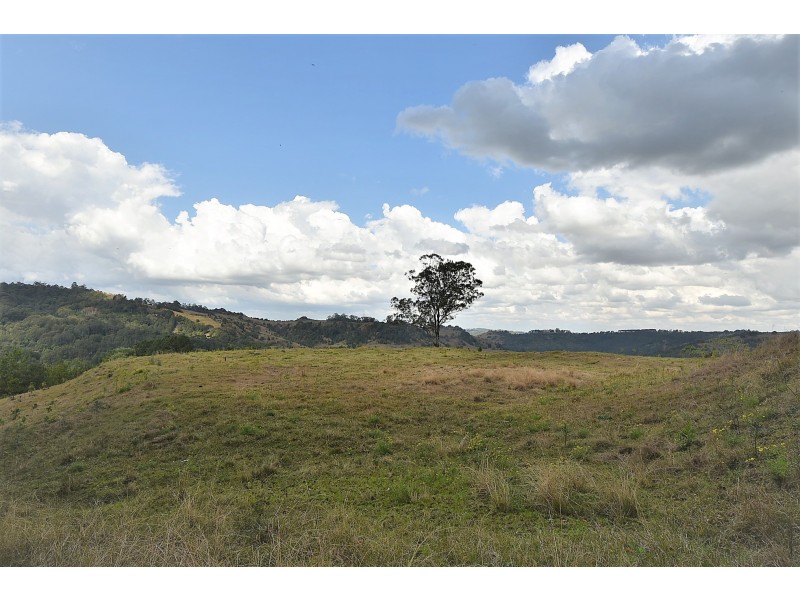 537 Tuntable Creek Road, Tuntable Creek NSW 2480