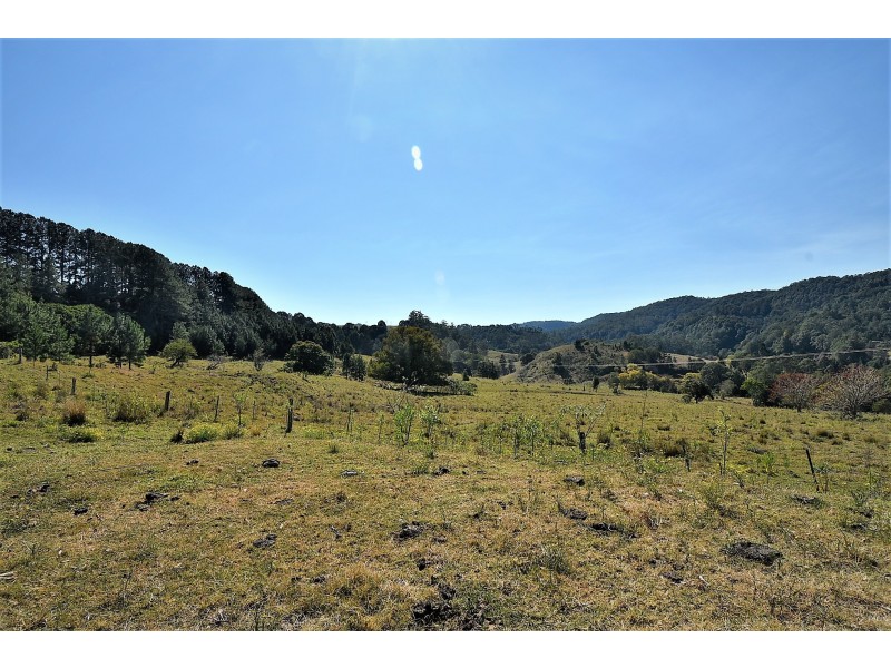 537 Tuntable Creek Road, Tuntable Creek NSW 2480