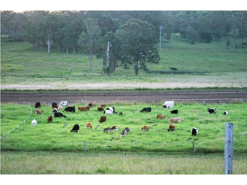 105 Vidlers Road, Spring Grove NSW 2470