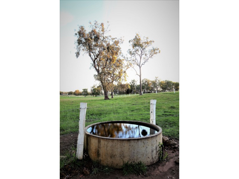 105 Vidlers Road, Spring Grove NSW 2470