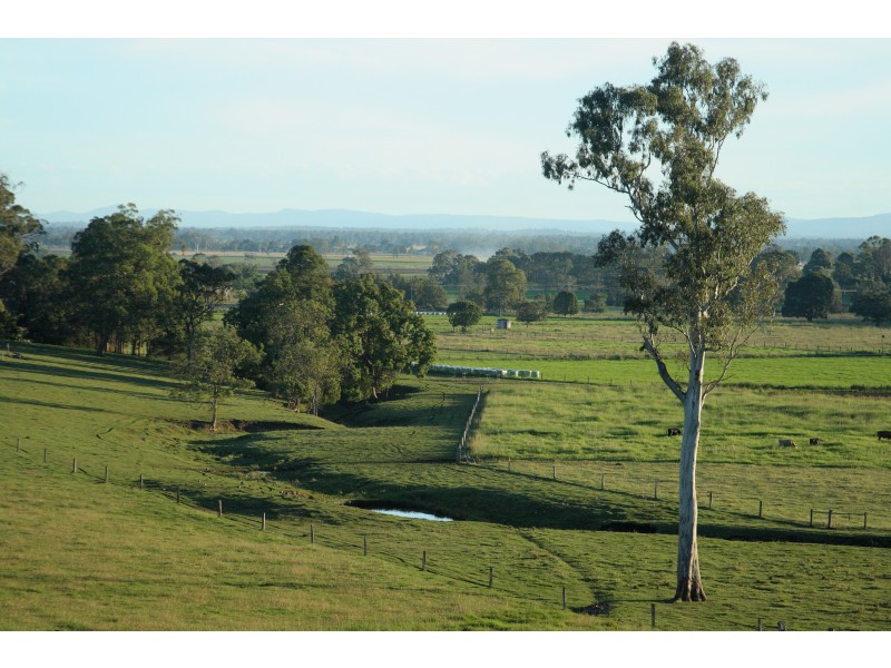 105 Vidlers Road, Spring Grove NSW 2470