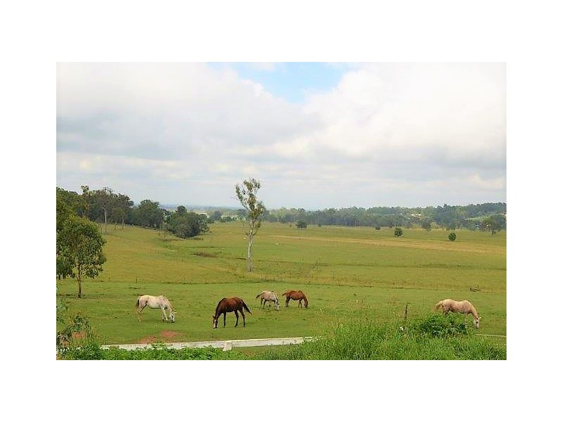 105 Vidlers Road, Spring Grove NSW 2470