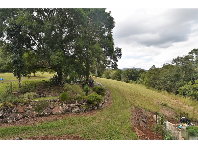 955 Terania Creek Road, Terania Creek NSW 2480