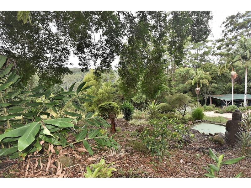 955 Terania Creek Road, Terania Creek NSW 2480