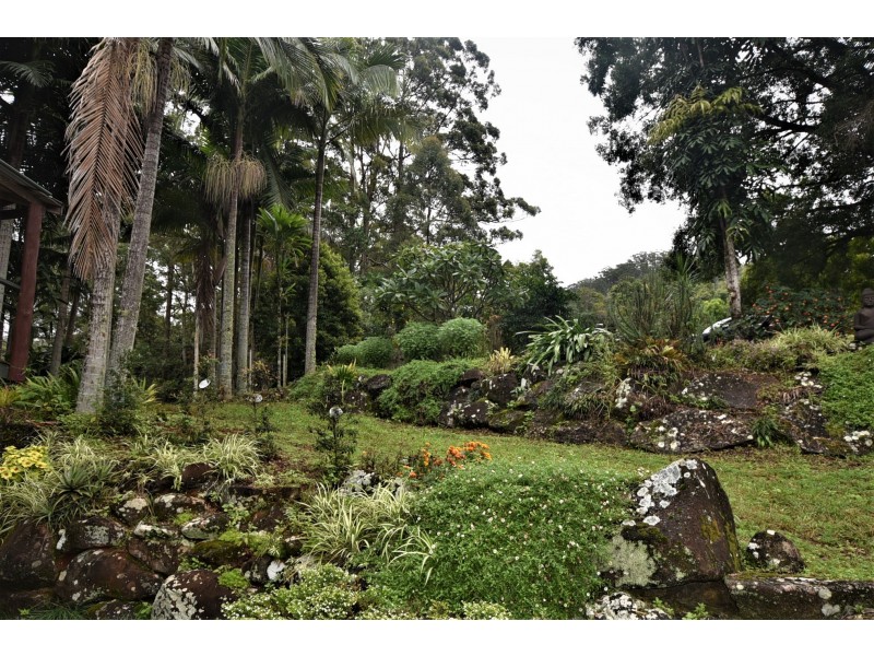 955 Terania Creek Road, Terania Creek NSW 2480