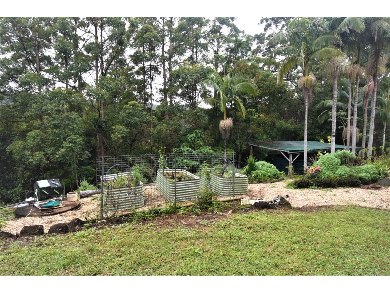 955 Terania Creek Road, Terania Creek NSW 2480