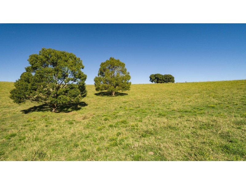 142 Hazelmount Lane, Tuckurimba NSW 2480