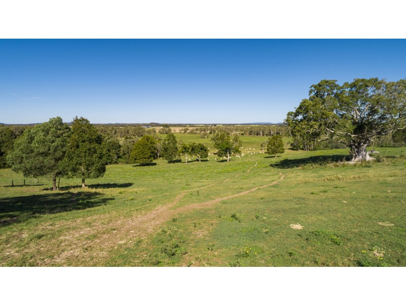 142 Hazelmount Lane, Tuckurimba NSW 2480