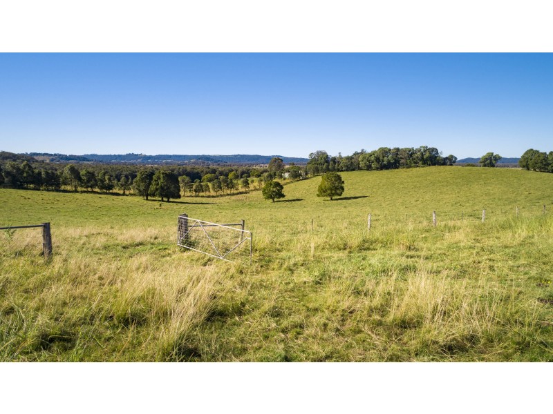 142 Hazelmount Lane, Tuckurimba NSW 2480