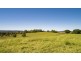 142 Hazelmount Lane, Tuckurimba NSW 2480
