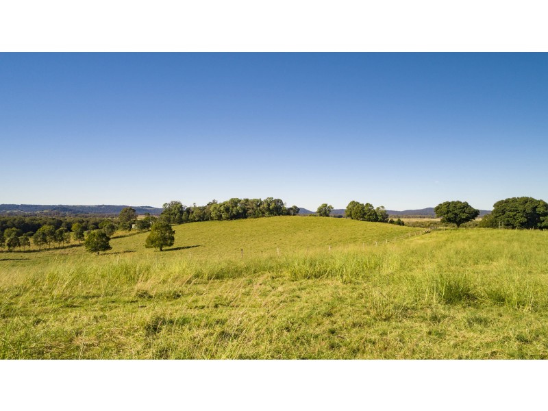 142 Hazelmount Lane, Tuckurimba NSW 2480