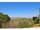 136 Tuckurimba Road, Tuckurimba NSW 2480