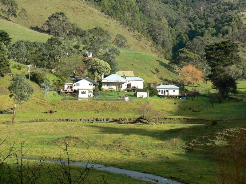 95 Wild Dog Road, Apollo Bay VIC 3233