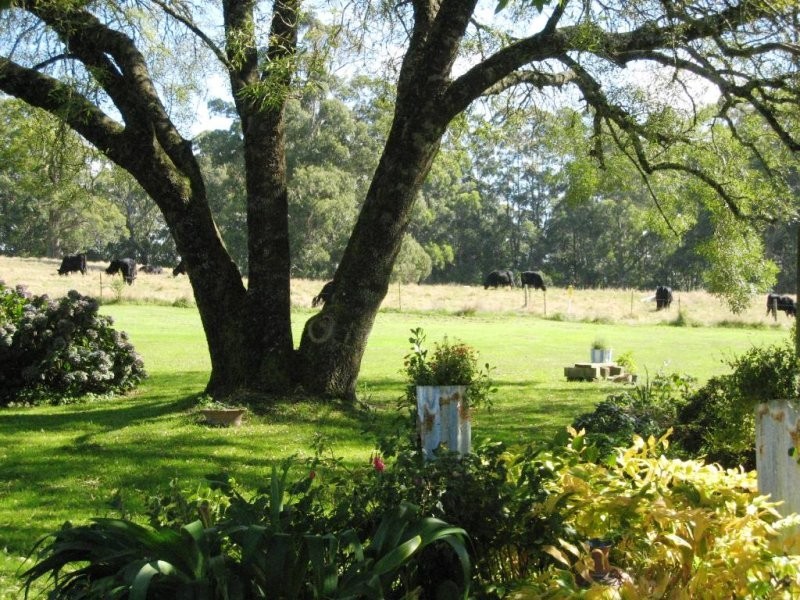 1240 Wild Dog Road, Apollo Bay VIC 3233
