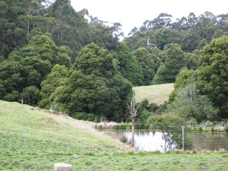 1240 Wild Dog Road, Apollo Bay VIC 3233