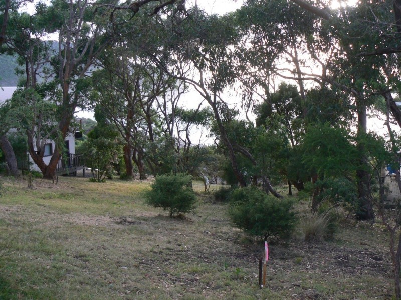 17 Great Ocean Road, Grey River VIC 3221