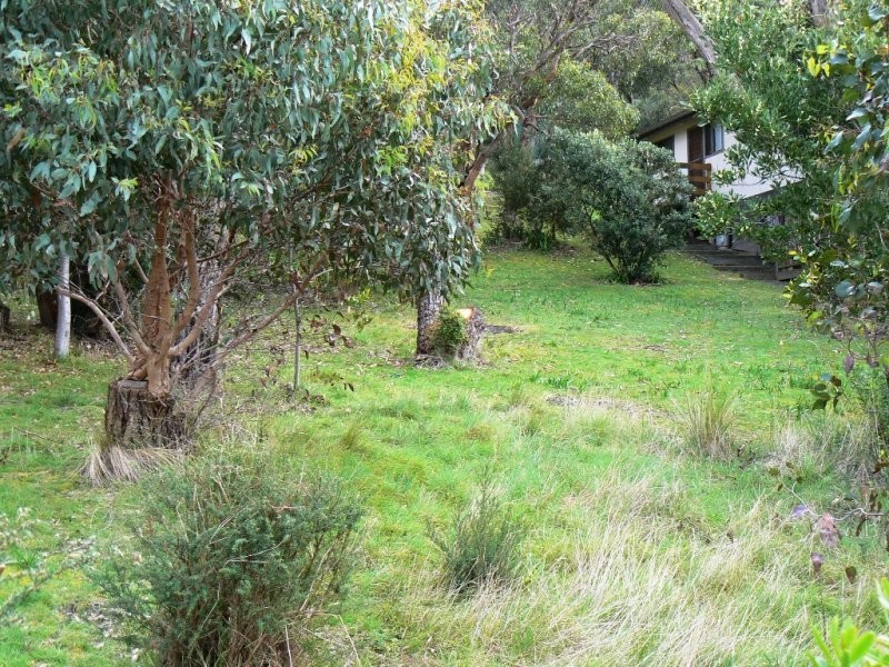 17 Great Ocean Road, Grey River VIC 3221