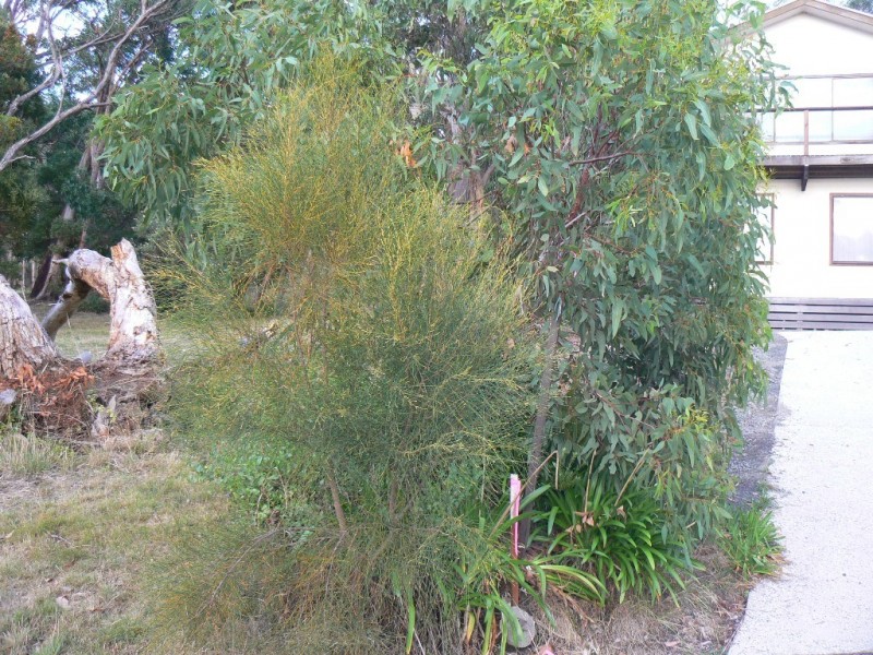 17 Great Ocean Road, Grey River VIC 3221