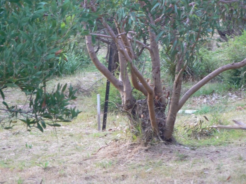 17 Great Ocean Road, Grey River VIC 3221