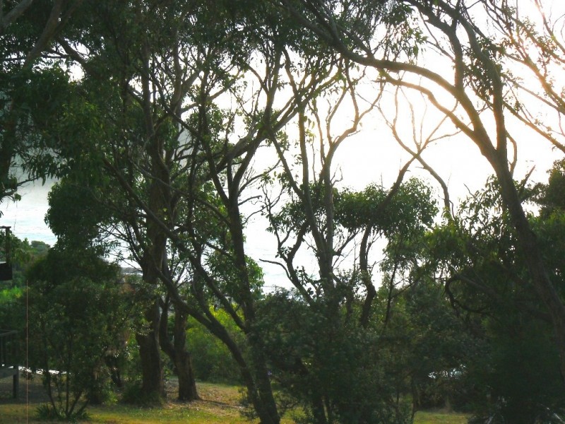 17 Great Ocean Road, Grey River VIC 3221