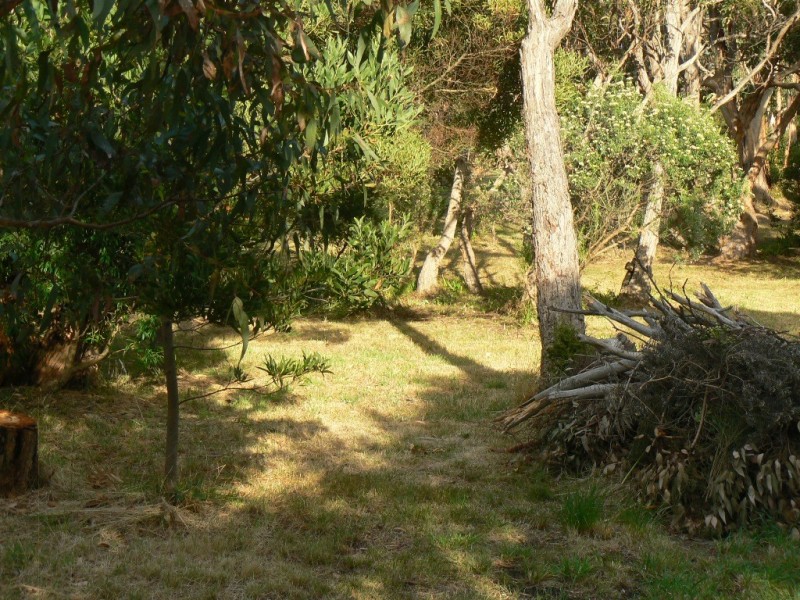 17 Great Ocean Road, Grey River VIC 3221